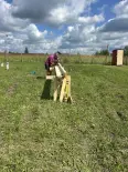 Миниатюра 6