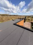 Миниатюра 55
